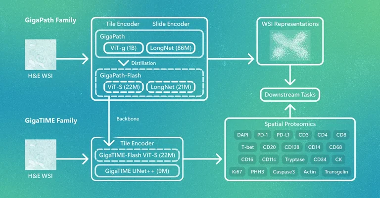 Сравнительная диаграмма эффективности GigaPath-Flash и GigaTIME-Flash от Microsoft Research на фоне архитектуры модели