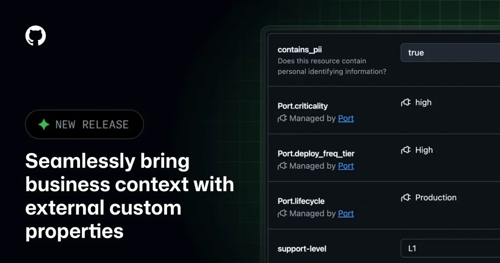 Интерфейс GitHub с панелью внешних кастомных свойств репозитория