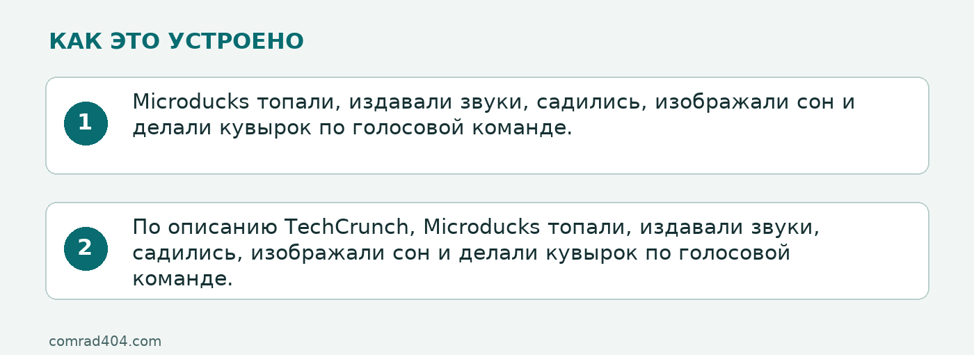 Схема: Microducks топали, издавали звуки, садились, изображали сон и делали кувырок по голосовой команде.; По описанию TechCrunch, Microducks топали, издавали звуки, садились, изображали сон и делали кувырок по голосовой команде.